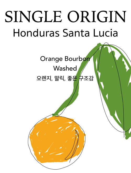 Honduras Santa Lucia 온두라스 산타루시아 100g